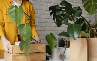 Jardin Nomade : le Pop-up store végétal éphémère du 22 au 24 mai