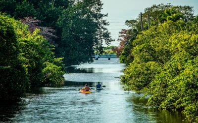 4 idées d’activités nautiques à Cesson pour l’été