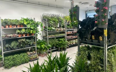 Jardin Nomade est de retour à Rennes