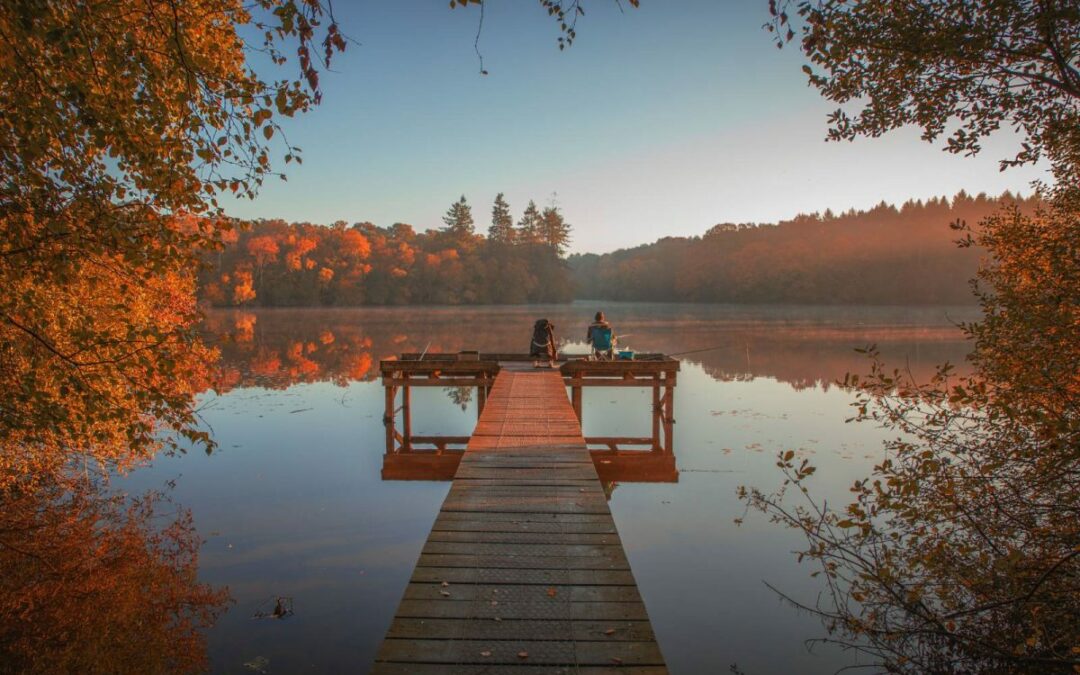Que faire à Rennes ce week-end ? Du 12 au 14 décembre 2025