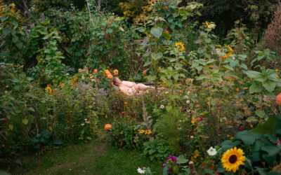 Glaz Festival lance sa 2ème édition