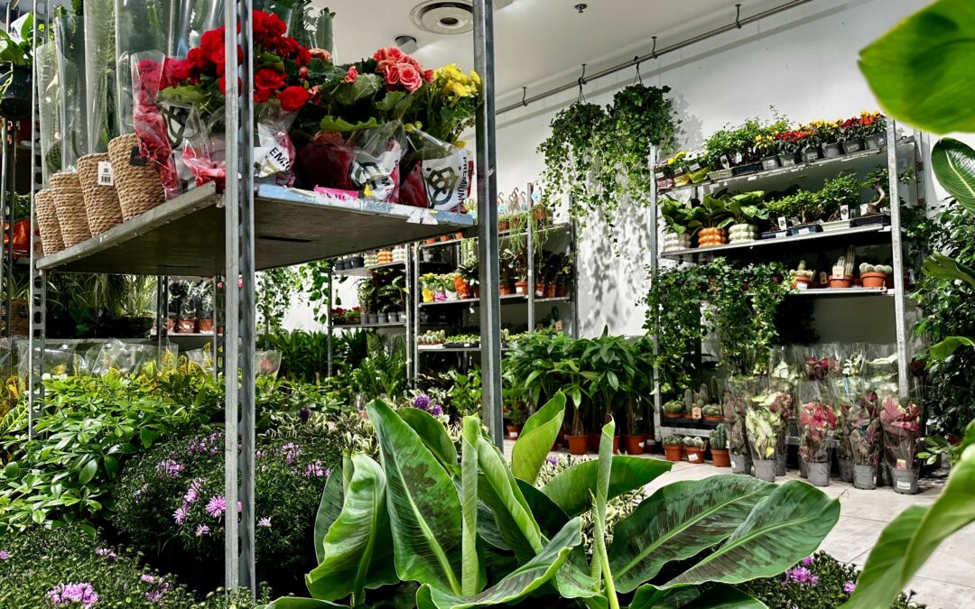 Le pop-up végétal Jardin Nomade de retour à Rennes